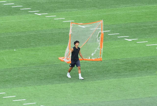 之争公牛在